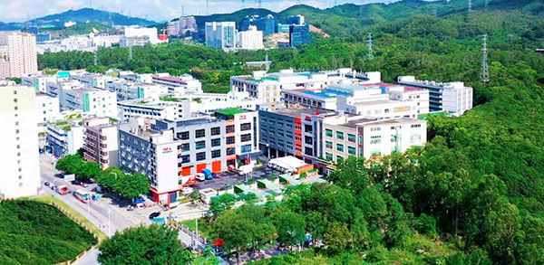 进出口货物申报要求 (图1)
