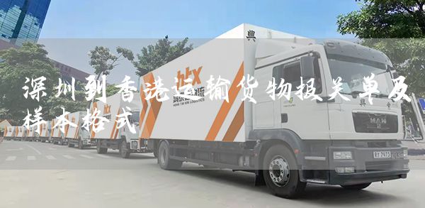 深圳到香港运输货物报关单及样本格式(图1)