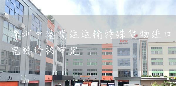 深圳中港货运运输特殊货物进口完税价格审定(图1)
