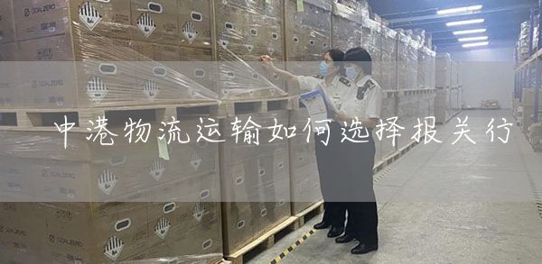中港物流运输如何选择报关行(图1)
