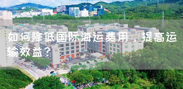 如何降低国际海运费用，提高运输效益？(图1)