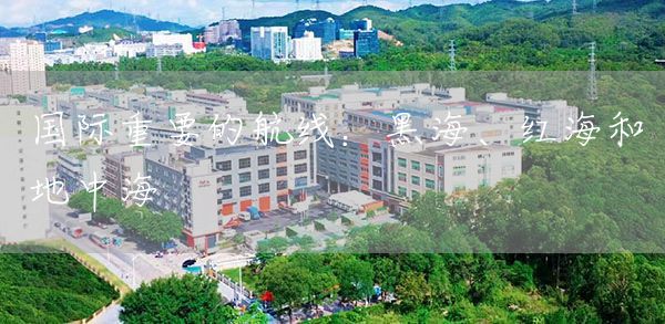 国际重要的航线：黑海、红海和地中海(图1)