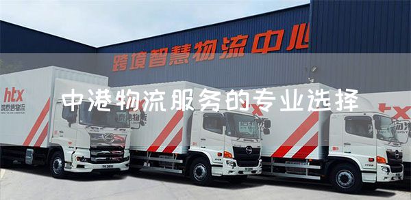 中港物流服务的专业选择(图1)